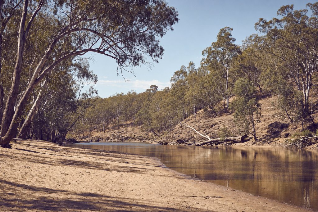 a wide sandy river bend below dry eucalypt bushland under a pale blue sky, regional Victoria. (AI-generated image)