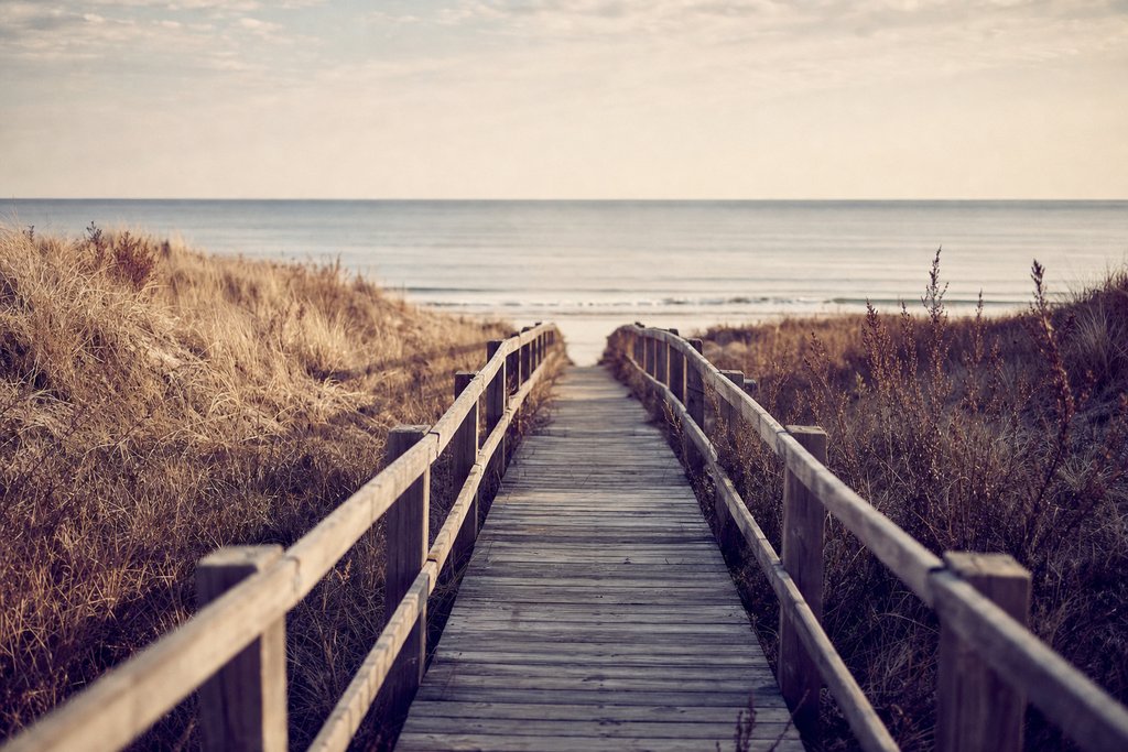 a weathered timber walkway over dunes toward flat morning ocean. (AI-generated image)