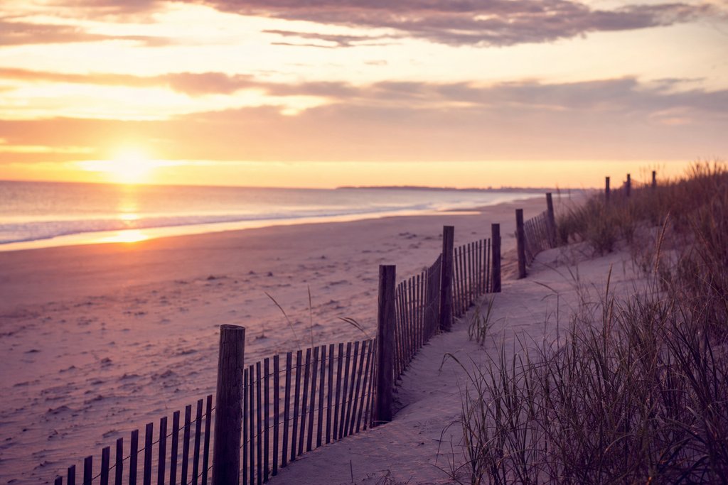 a wide empty Atlantic beach with a line of dune fencing at sunrise. (AI-generated image)
