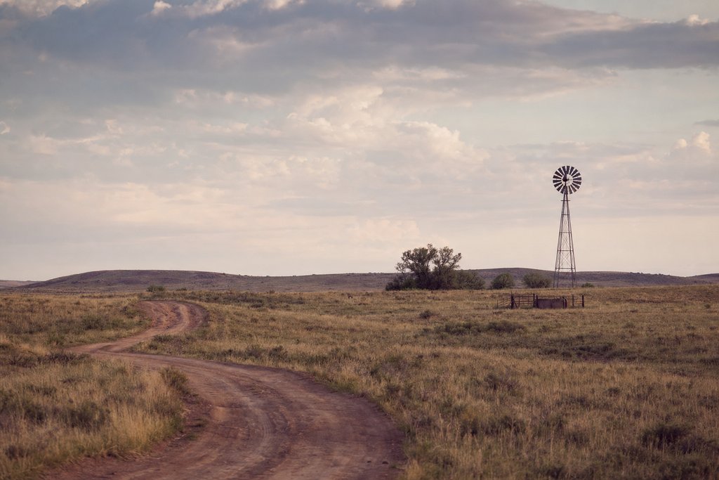 a dirt road through open grazing country with a windmill on the horizon. (AI-generated image)