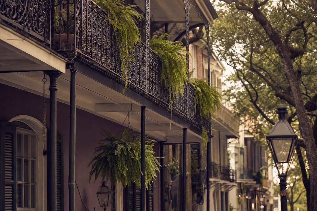 a cast-iron balcony above a shaded Southern street with hanging ferns. (AI-generated image)