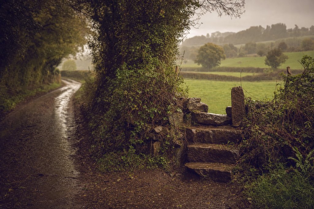 A hedgerow lane in soft rain with a stone stile and green fields beyond. (AI-generated image)