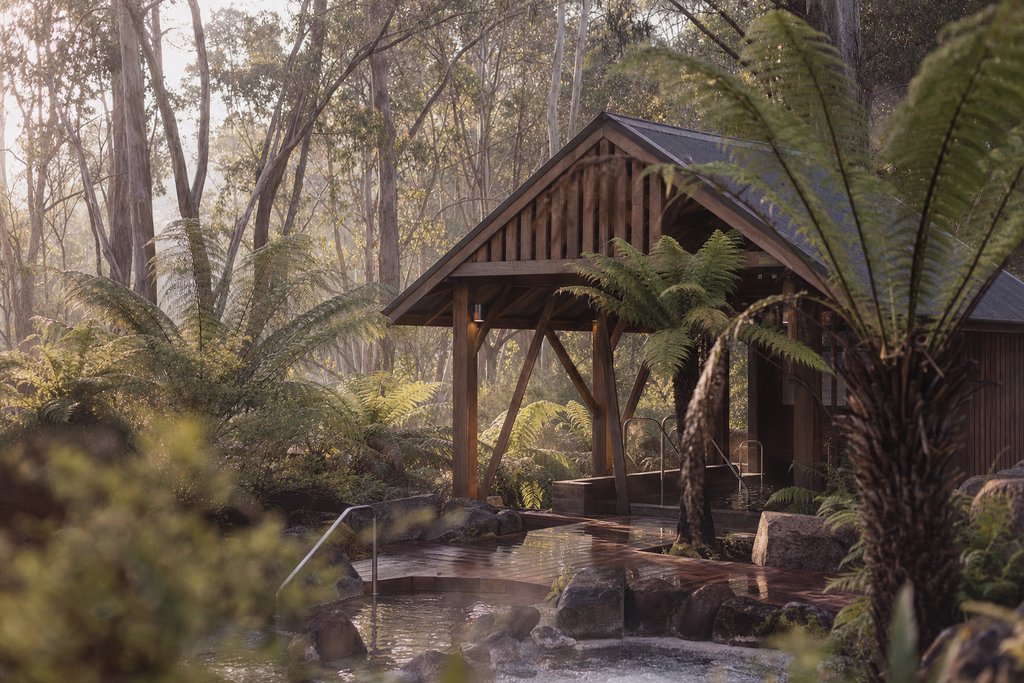 A timber bathhouse pavilion among tree ferns and eucalypts in a mineral springs reserve, soft morning light. (AI-generated image)