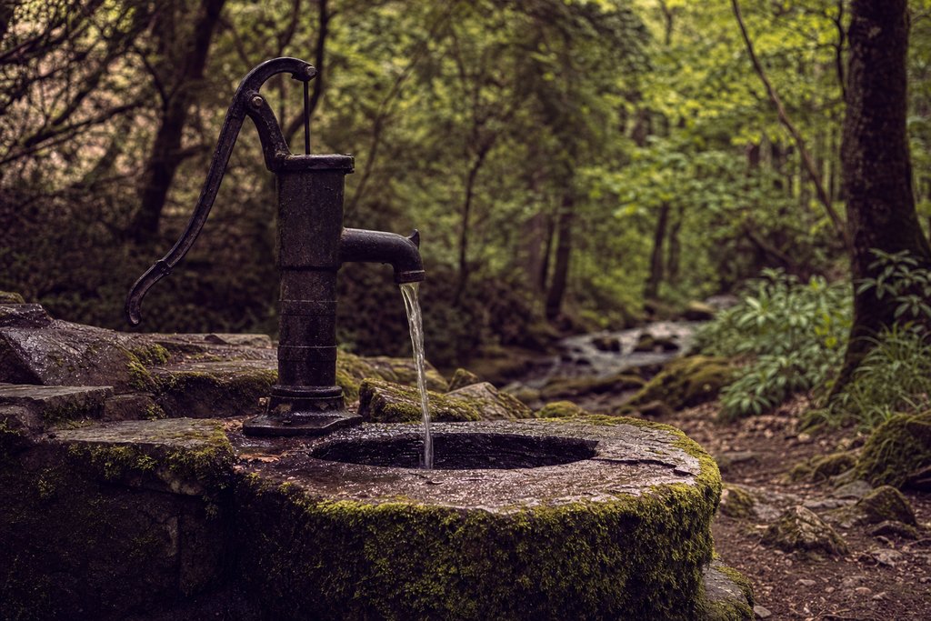 A cast-iron hand pump over a stone mineral spring basin in a wooded reserve, wet moss on the surround. (AI-generated image)