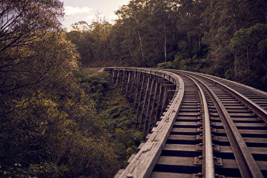 A curved timber trestle railway bridge running through forest with no train on it. (AI-generated image)