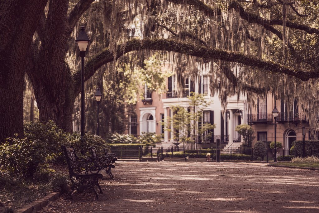 A Savannah square with live oaks, an empty bench and a cast-iron fence. (AI-generated image)