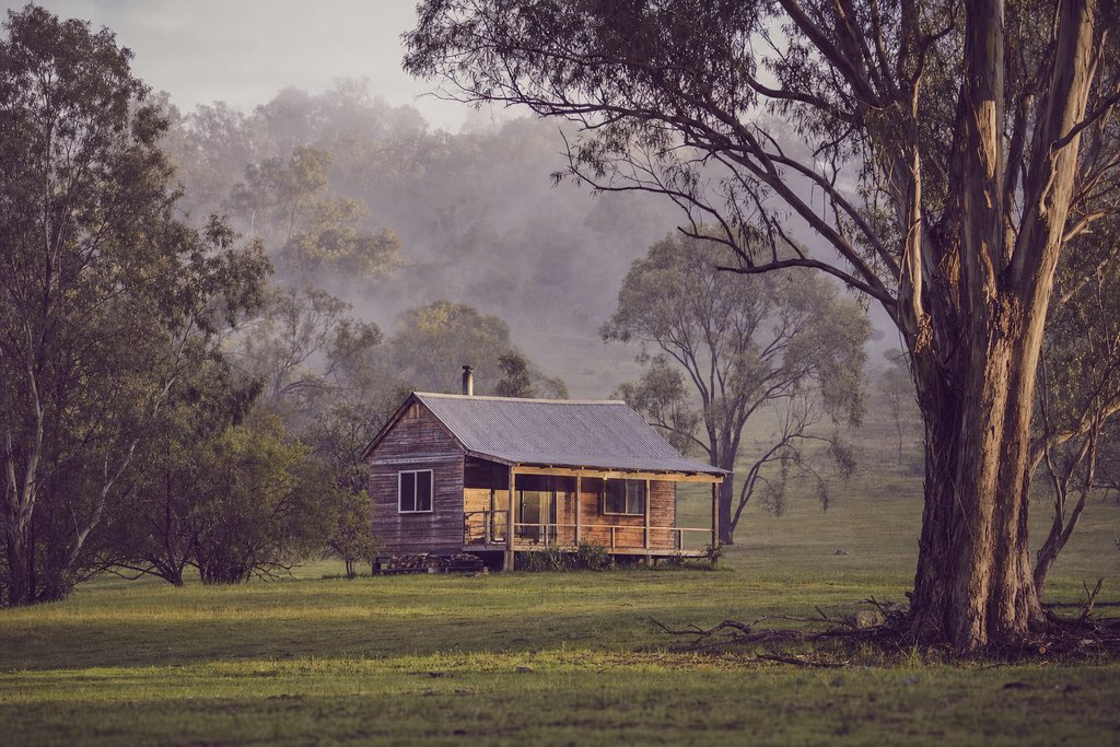 A single small timber cabin alone in a green paddock ringed by gum trees in morning mist. (AI-generated image)