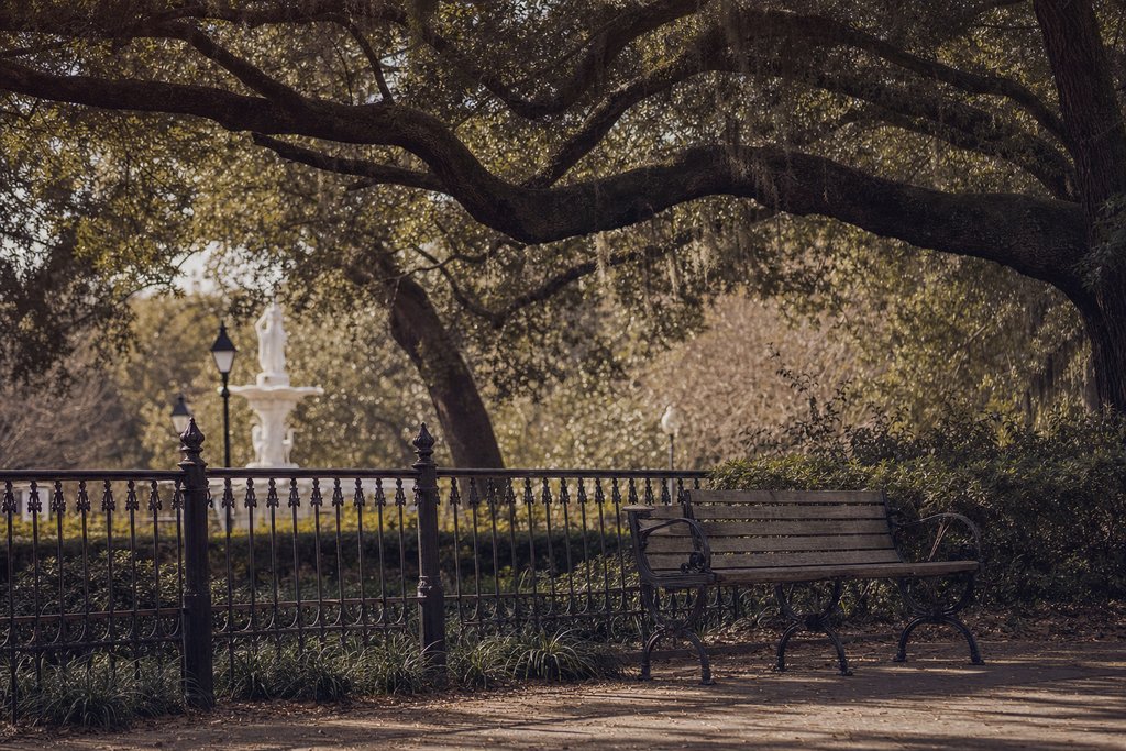 A Savannah square with live oaks, an empty bench and a cast-iron fence. (AI-generated image)
